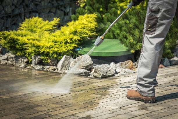Best Building Exterior Washing  in Nashwauk, MN