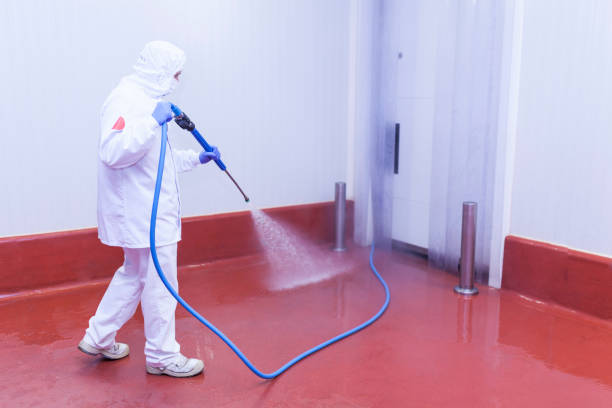 Boat and Dock Cleaning in Nashwauk, MN